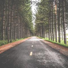 test test test test